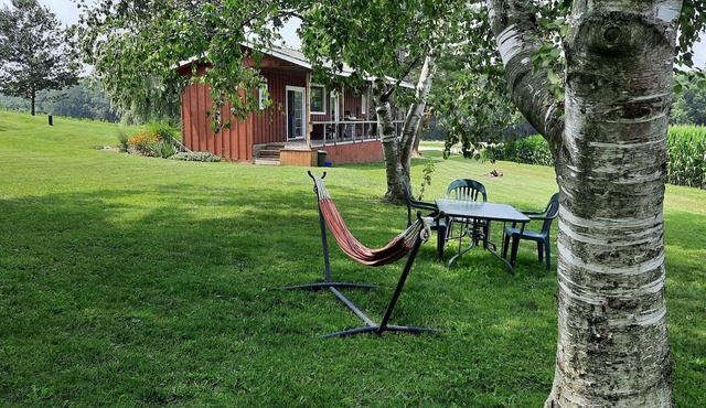 Our charming cabin offers a serene, outdoor experience. nIts glamping with perks