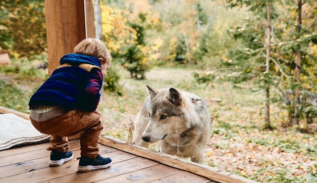 Parc Omega