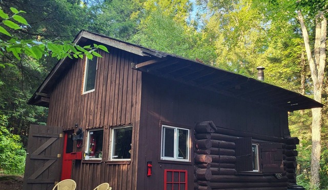 Peaceful Cabin in the Woods walking distance to hike, swim, canoe & fish