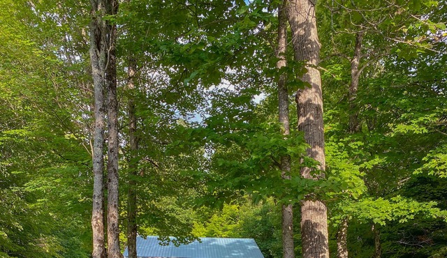 Peaceful cottage on tranquil lake