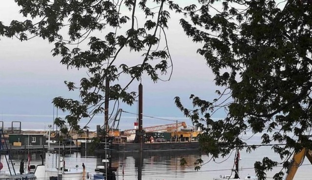 Pelican Post- overlooking Kingsville harbour!