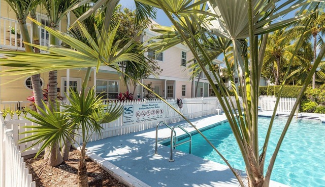 Poolside Palms