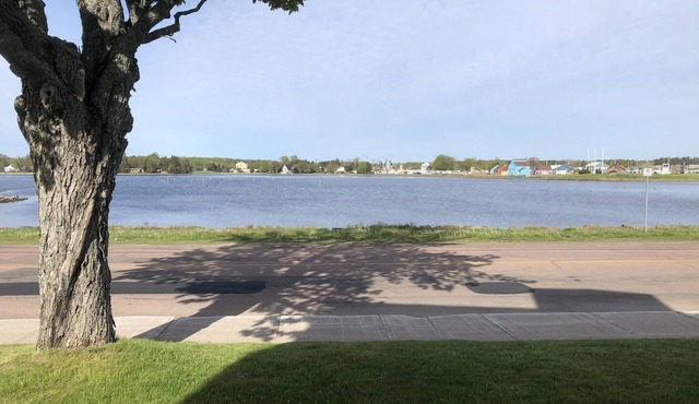 Prime location, steps of DT , waterfront, 4 bedroom home!