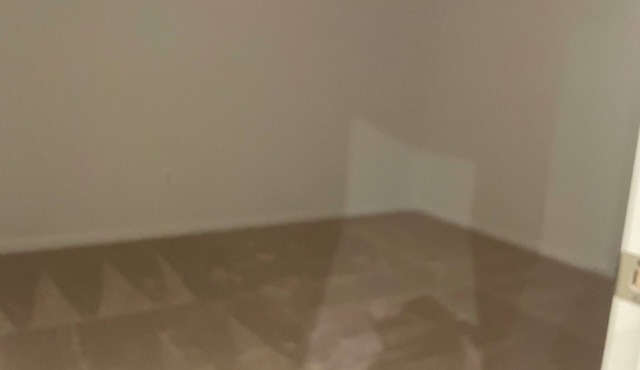 Private and affordable studio for all any guest's purposes and expectations.