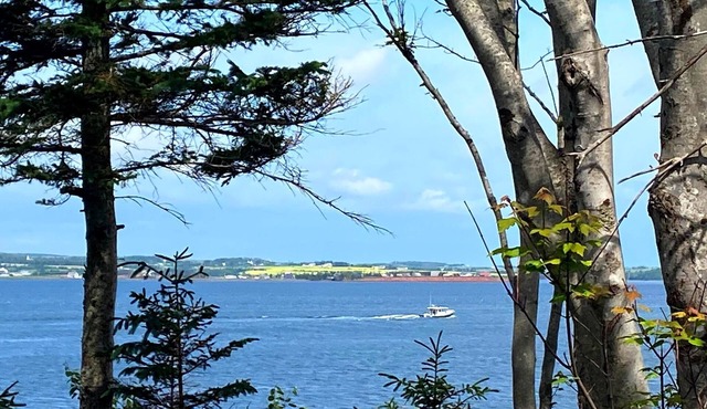 Private, Ocean View Cottage, 5 Mins - Cavendish, large deck, A/C, Wifi, Sleeps 6