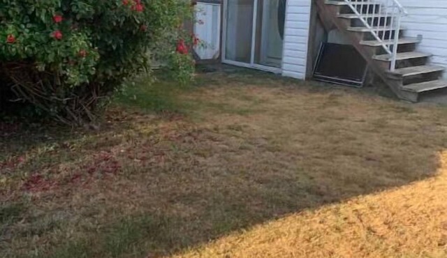 Private suite, separate entrance, central location