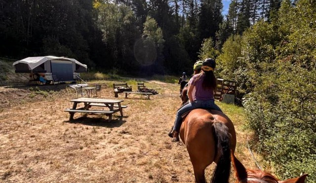 Privet creek side glamping