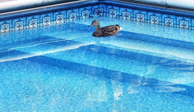 Privte swiming pool and basketball court villa