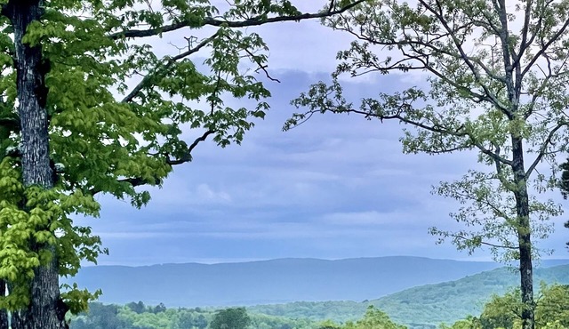 Quiet and secluded modern farmhouse 15 miles from the Buffalo River.