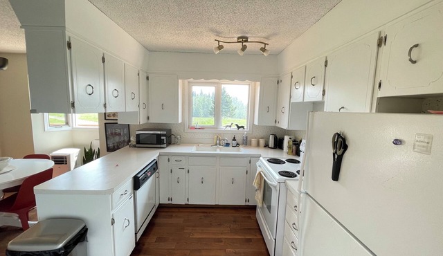 Quiet Farmhouse Acreage in Mountain View County AB