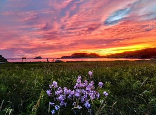 Red Sunset Cottage in Twillingate