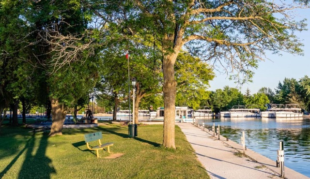 Rideau 2Br Signature Apartment Free Parking 2