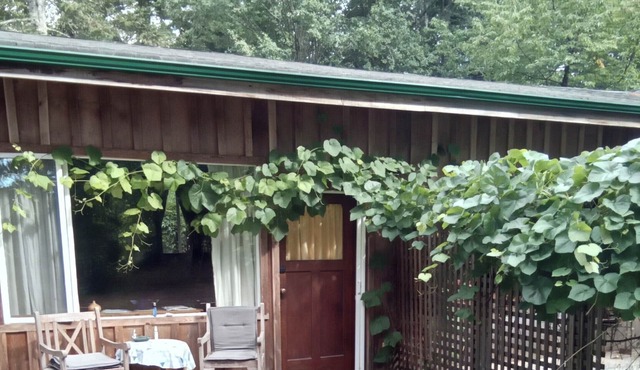 Rural setting, semi- detached suite , amenities close by