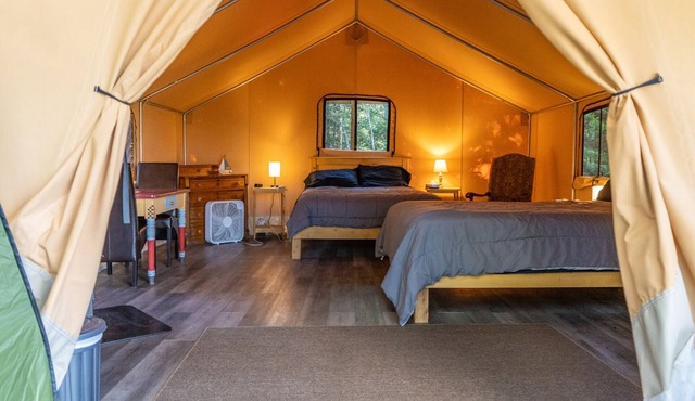 Safari Glamping Tent! Forest Retreat & Hot Tubs!