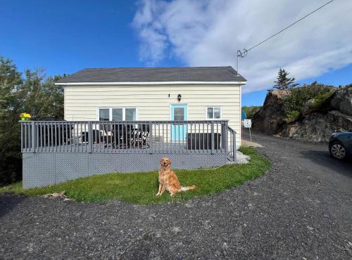 Scout's House