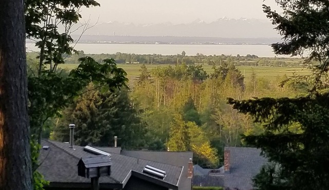 Sea-View Eagle's Nest . 1 bedroom Luxury Guest Suite with Patio area