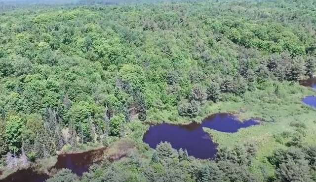 Secluded Cottage | Sauna & Hot Tub on 44 Acres | Pets Welcome