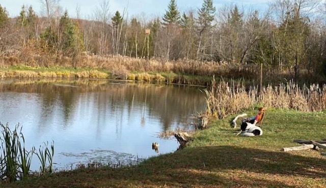 Secluded Pet Friendly House With Pond and Forest Trails in Uxbridge
