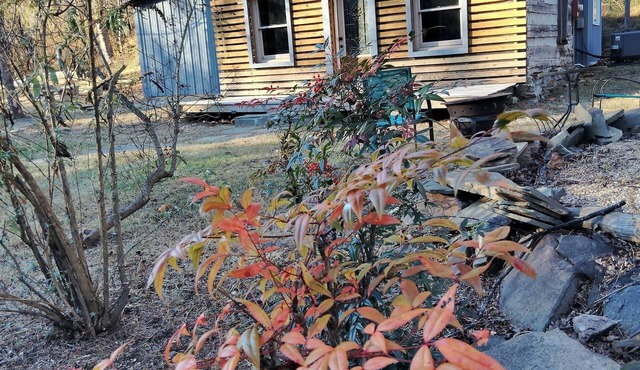 Secluded Rustic Cabin Escape on 5 Private Acres – Near Berryville and River