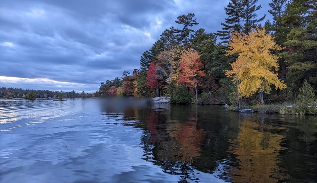 Serene, Spacious Waterfront Cottage in Kawartha Lakes w. Hot Tub. Pet-Friendly!