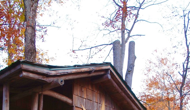SHACK IN THE TREES - THE GROUND