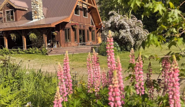 Ski Lodge on acreage close to RMR. Pet friendly!