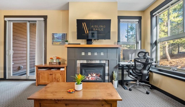 Snowy Lodge | Ski-In/Out | Upper Village | Pets Ok