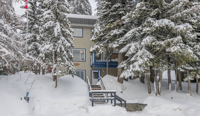 Spacious 3 bedroom cabin w/hot tub, pet-friendly, close to village and trails