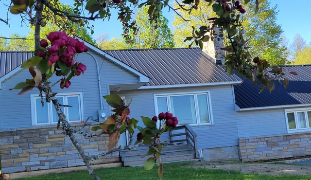 Spacious 5-bedroom house in charming Mayo with WiFi, AC