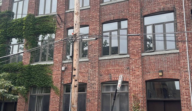 Spectacular Urban Loft Downtown on Quiet Street