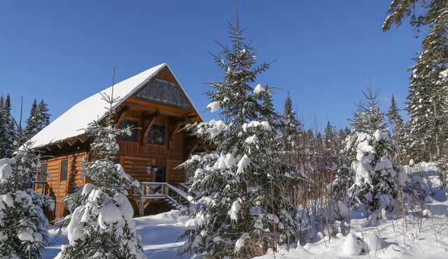 Stay & Relax in our Log cabin in the woods