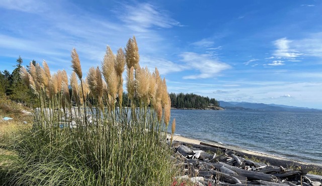 Staycation Cottage with your private beach