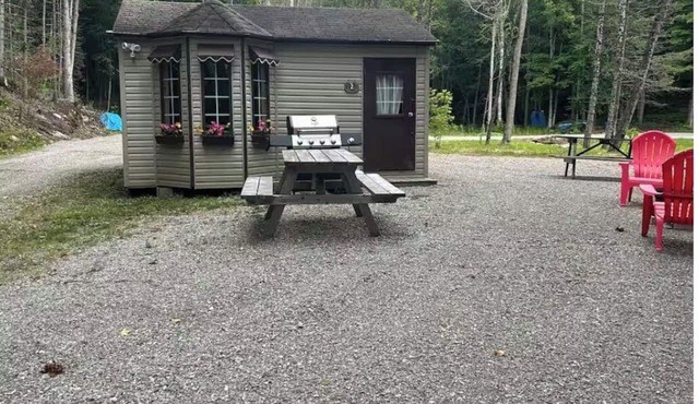 Steps away to gooderham lake plus pet friendly