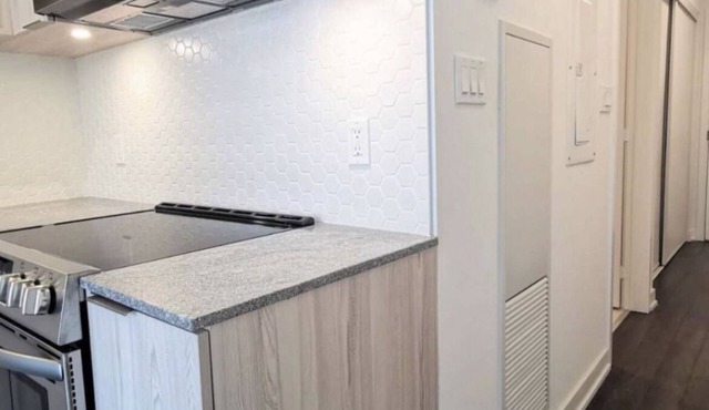 Studio available in Liberty village