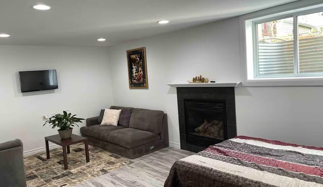 Stunning/Modern Basement Unit