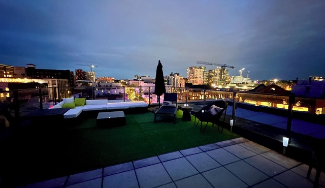 Stylish downtown penthouse with private rooftop patio and stunning views