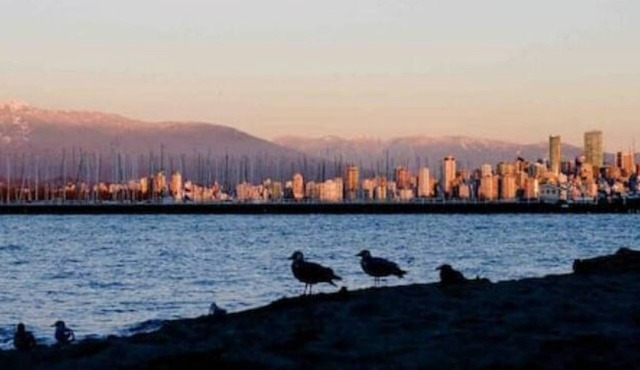 Sweet home by Point Grey with AC