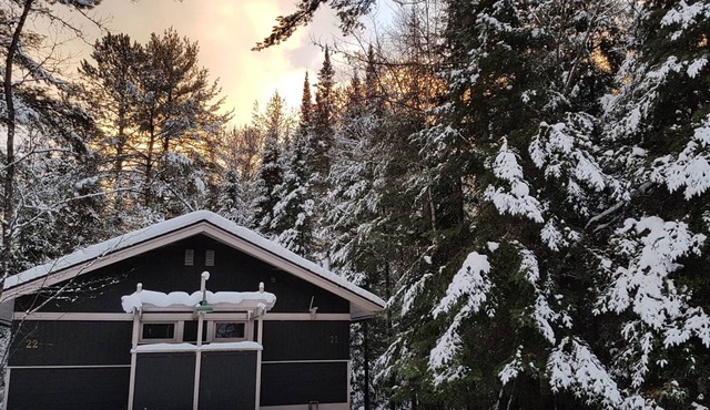 The Canadian Ecology Centre Cabins