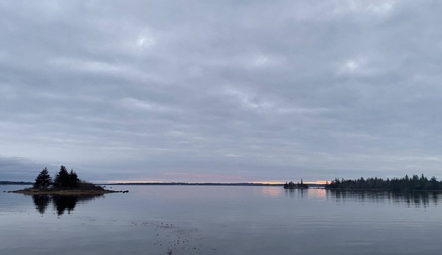 The Cove House