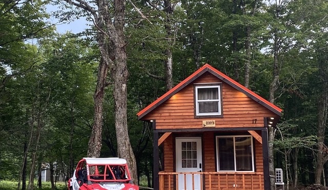 The Pine Loft Cabin #17