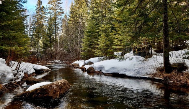 The river’s cabin - lake and ski