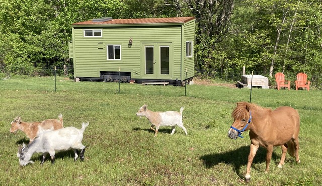 Tiny House at Hidden Meadow