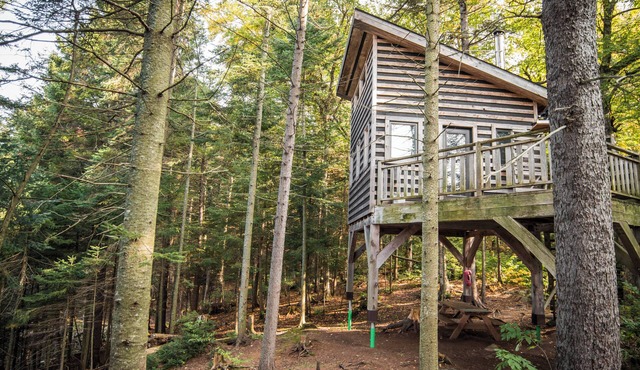 Treehouse with lake view | Lodging #05