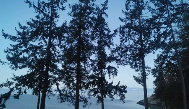 U1 Seaside Serenity: Seal Bay Glamping Retreat