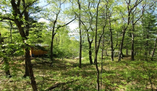 Very Private, Secluded, Wildlife, No Neighbors!
