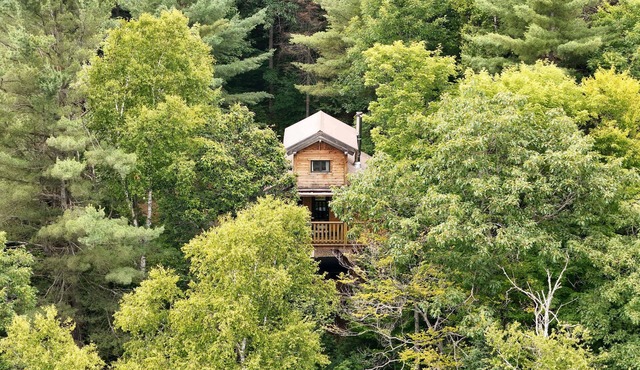 Village Perché - Mésange - Spa