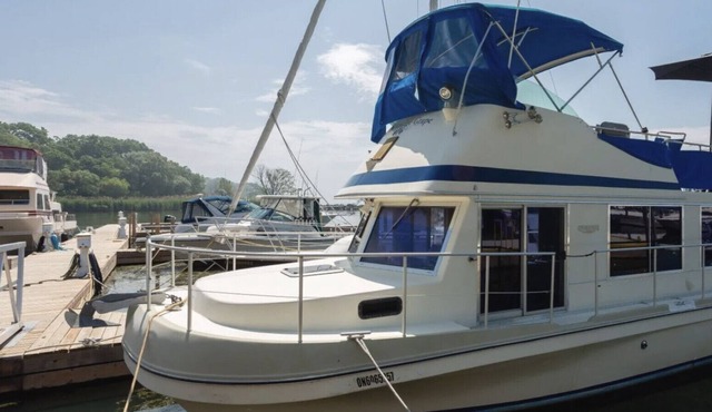 Vintage Grape House Boat
