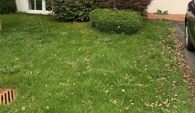 Vrbo Property