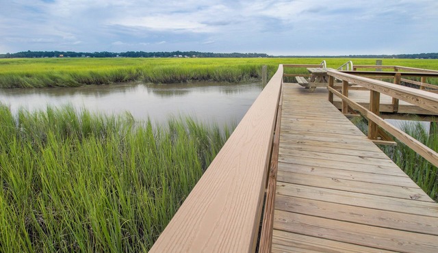 Waterfront, 7 acres; Stunning Home on Coastal Tidal Marsh w/Private Dock