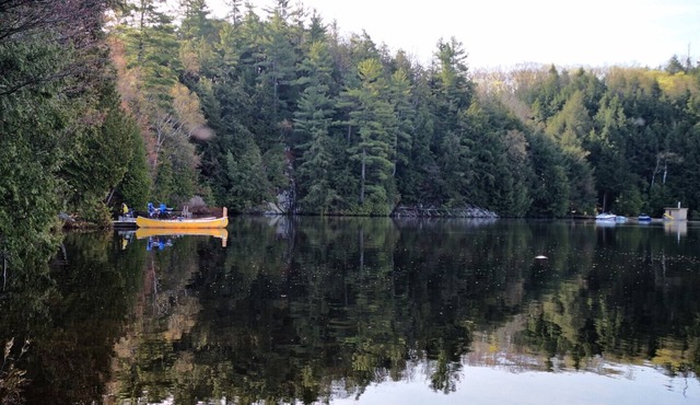 Waterfront Cottage near Muskoka - Superior 3 bedroom Cottage with Private Dock